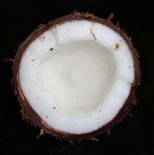 half of a coconut shell