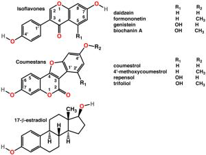chemical structure of phytoestrogens and estradiol (estrogen)